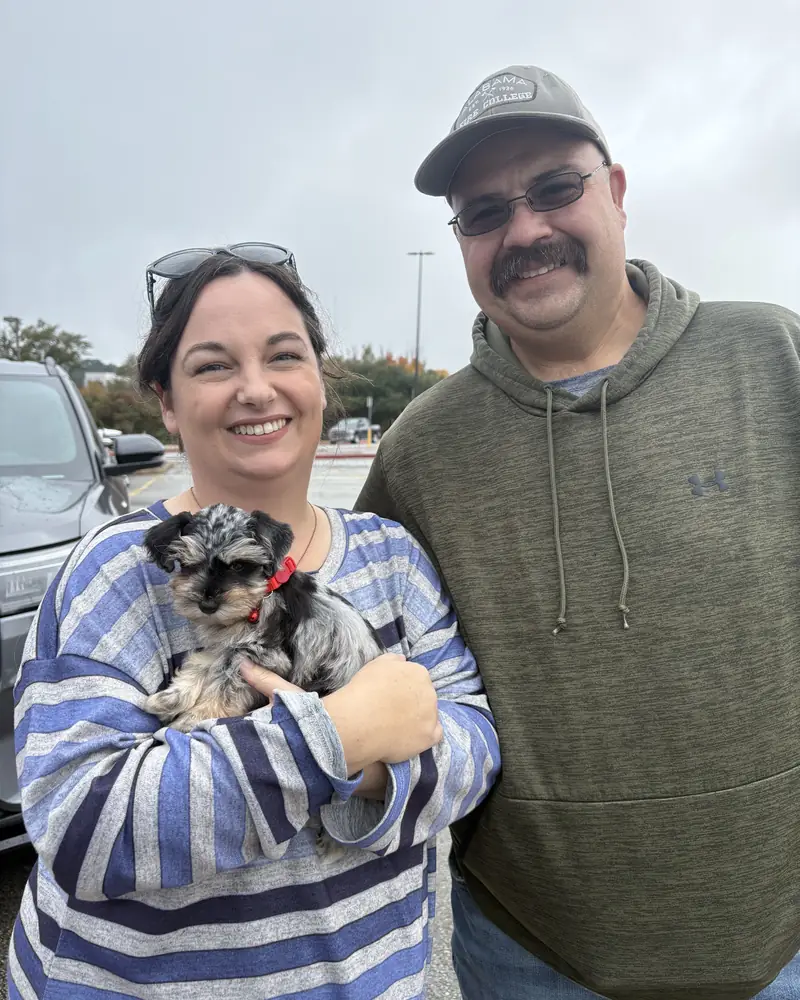 A couple standing together in a car park, the woman holding their new salt-and-pepper puppy in a red bow.