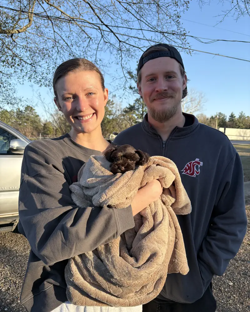 A couple outdoors in late sun, the woman holding their new chocolate puppy bundled in a soft blanket.