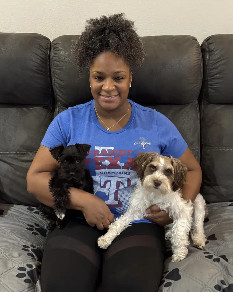 A woman sitting on a sofa at home with a new black puppy on one knee and an older liver-and-white schnauzer on the other.