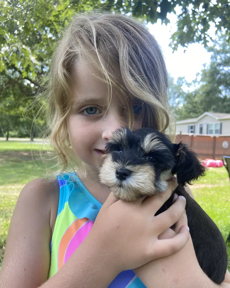 A young girl in a swimsuit holding her new black-and-silver puppy up beside her cheek in a shady garden.