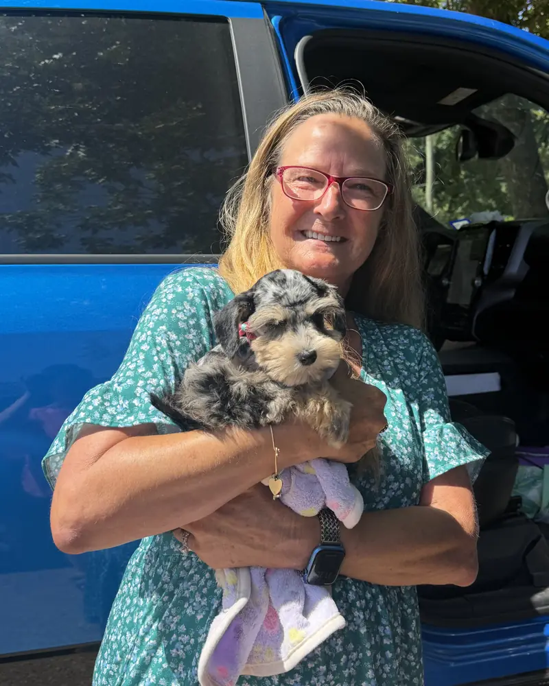 A woman in a green dress holding her new salt-and-pepper puppy and its blanket beside a blue van.